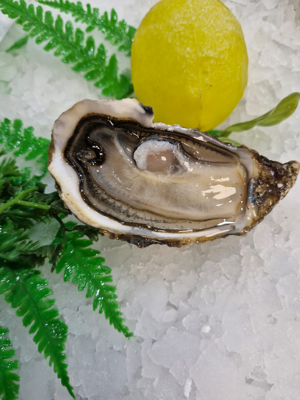 Huîtres Spéciales Isigny