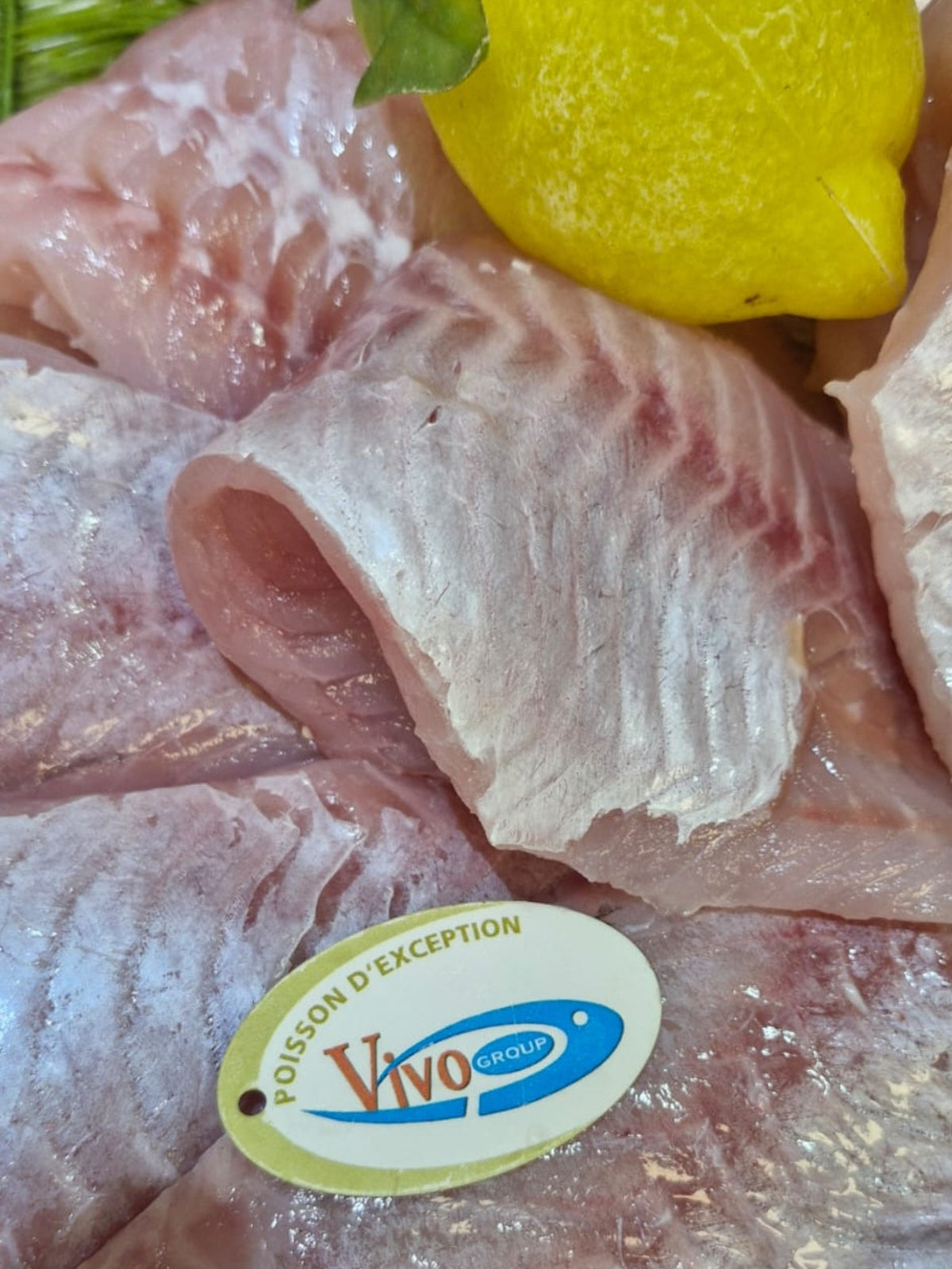 Filet de dorade sebaste (rascasse)