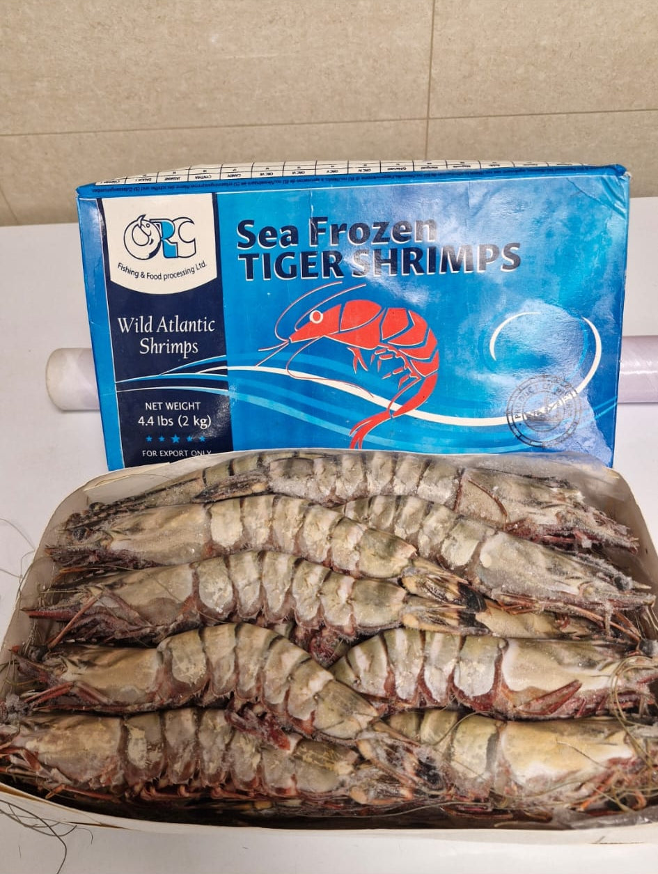 Gambas sauvages (congelées en mer)