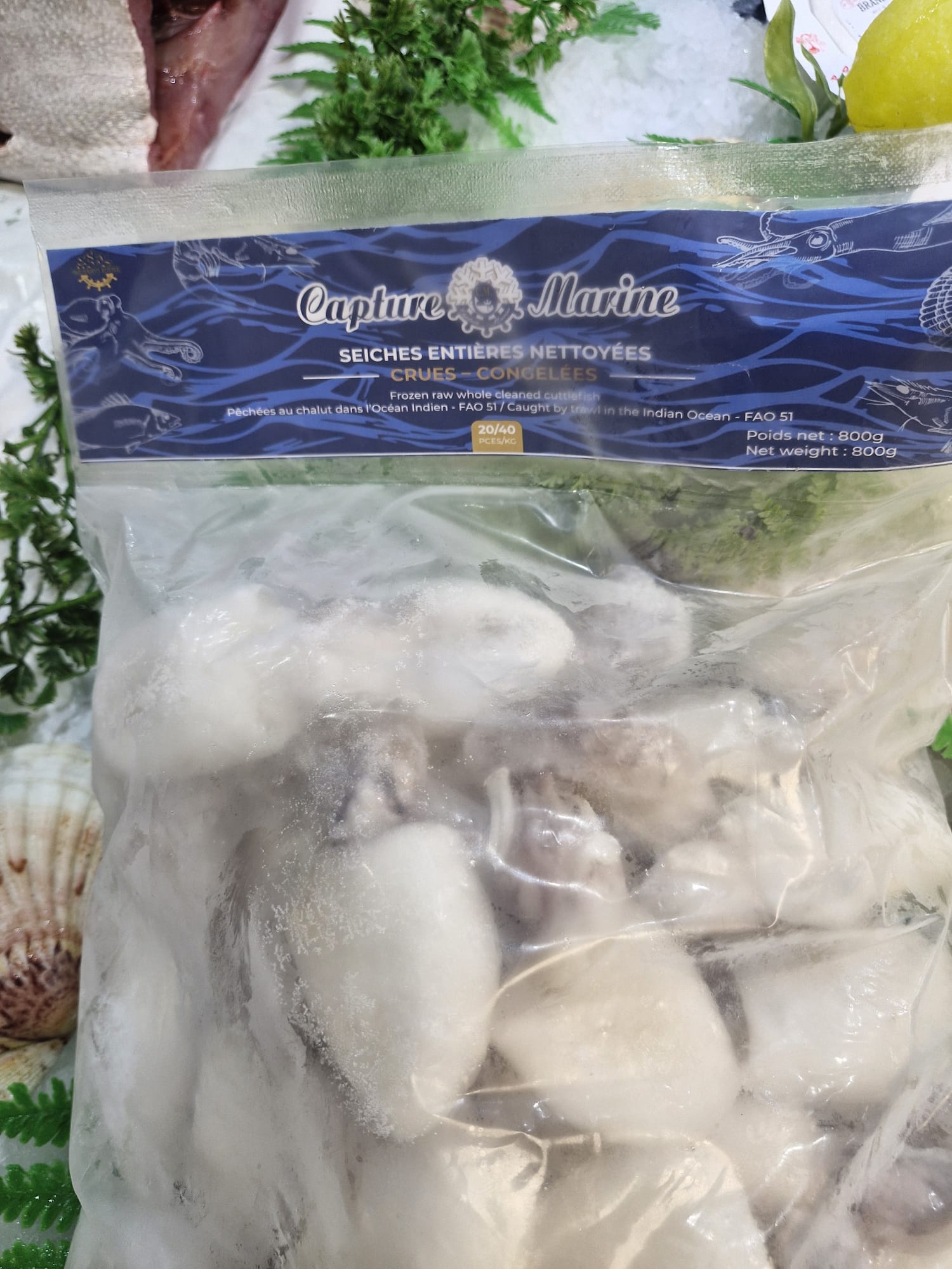 Seiches entières nettoyées congelées