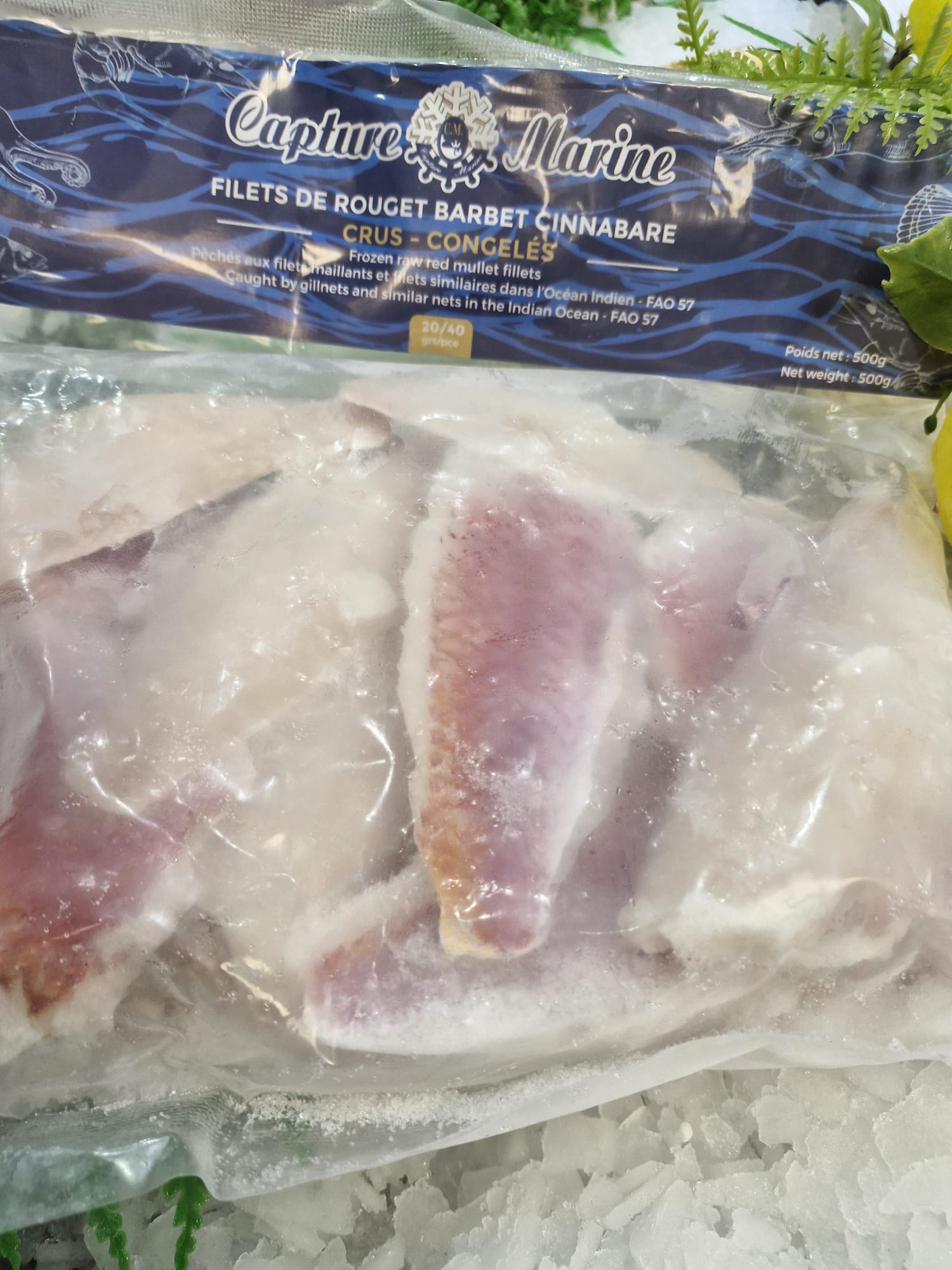 Filets de rougets congelés