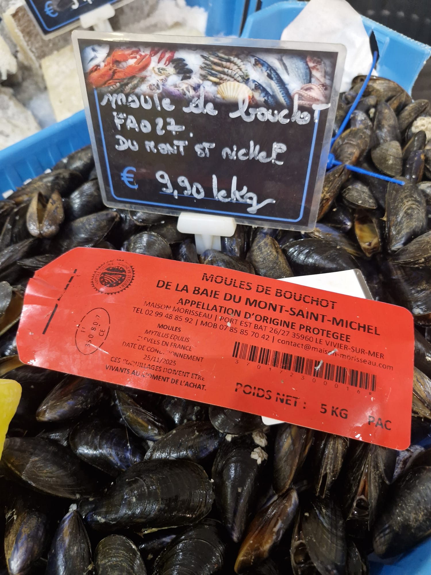 Moules de bouchot