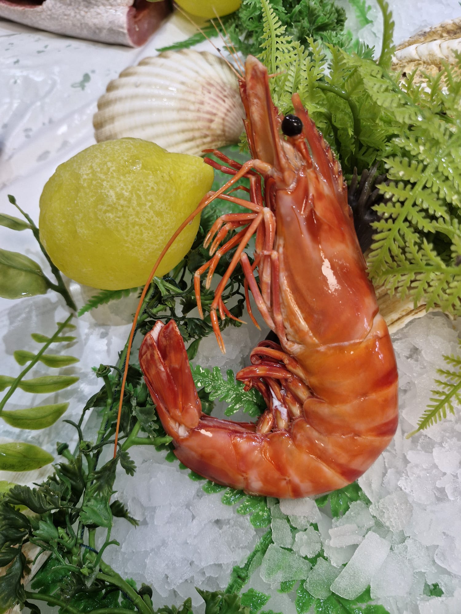 Gambas sauvages cuites 10/15